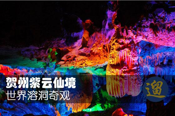 生化危机：浣熊市行动